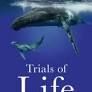 THE TRIALS OF LIFE. A NATURAL HISTORY OF ANIMAL BEHAVIOUR