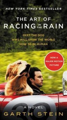 THE ART OF RACING IN THE RAIN