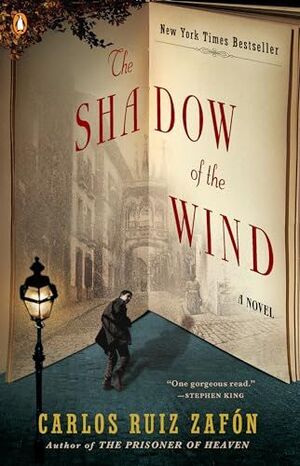 THE SHADOW OF THE WIND