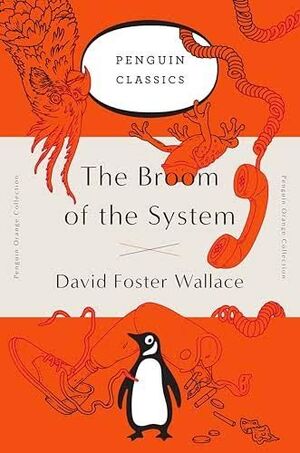 THE BROOM OF THE SYSTEM