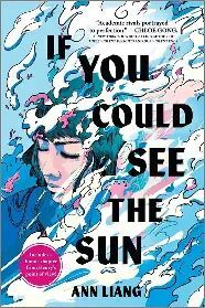 IF YOU COULD SEE THE SUN