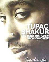 THE ROSE THAT GREW FROM CONCRETE