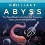 THE BRILLIANT ABYSS