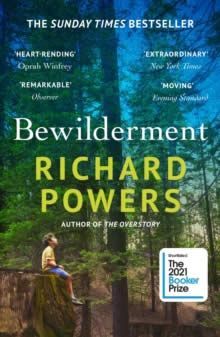 BEWILDERMENT
