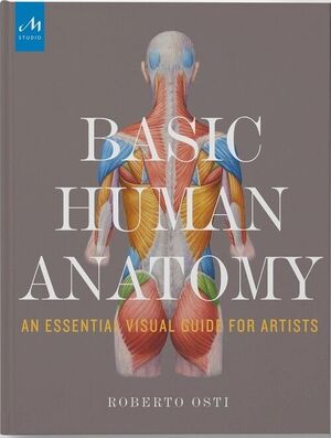 BASIC HUMAN ANATOMY