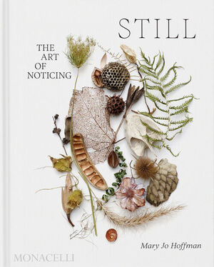 STILL. THE ART OF NOTICING