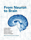 FROM NEURON TO BRAIN