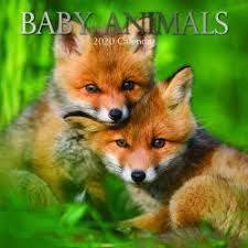 2020 CALENDARIO PARED BABY ANIMALS