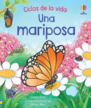 UNA MARIPOSA ( CICLOS DE LA VIDA)