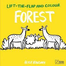 LIFT THE FLAPS + COLOUR: FOREST