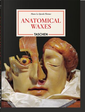 ANATOMICAL WAXES 45 ANIV.- INT.