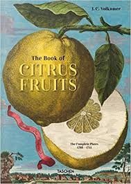 THE BOOK OF CITRUS FRUITS - THE COMPLETE PLATES 170
