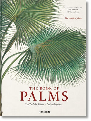 THE BOOK OF PALMS- INTERNACIONAL