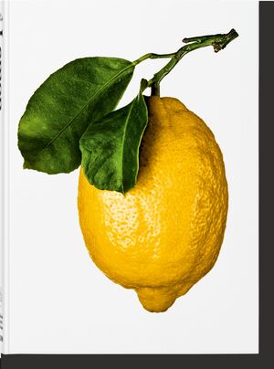 THE GOURMAND'S LEMON. A COLLECTION OF STORIES AND