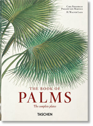 EL LIBRO DE LAS PALMERAS. 40TH ED.