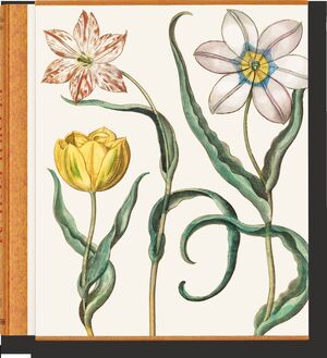 BASILIUS BESLER. (ESTUCHE 3 VOLS)