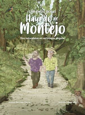 UN PASEO POR EL HAYEDO DE MONTEJO
