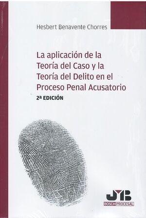 APLICACIÓN DE LA TEORÍA DEL CASO Y LA TEORÍA DEL DELITO