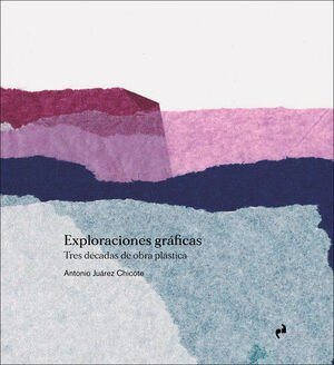 EXPLORACIONES GRAFICAS
