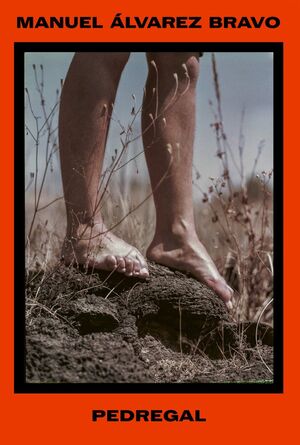 MANUEL ÁLVAREZ BRAVO. PEDREGAL