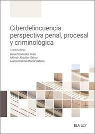 CIBERDELINCUENCIA: PERSPECTIVA PENAL, PROCESAL Y CRIMINOLOGICA