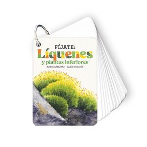 FÍJATE: LÍQUENES Y PLANTAS INFERIORES