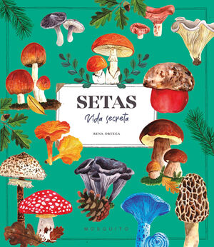 SETAS VIDA SECRETA