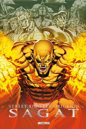 STREET FIGHTER ORIGINS SAGAT
