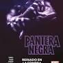 PANTERA NEGRA DE EVE EWING 01: REINADO EN LA SOMBRA