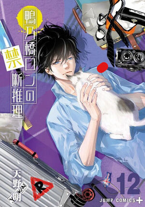 MISTERIO PROHIBIDO DE RON KAMONOHASHI 12