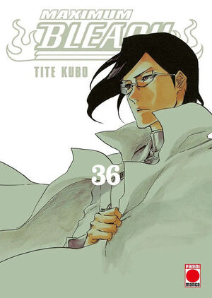 MAXIMUM BLEACH 36