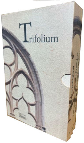 TRIFOLIUM.LINGUISTICA PORTUGUESA/ PORTUGUÉS COMO LENGUA EXTRAJERA/LITERATURAS DE LENGUA PORTUGUESA