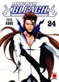 BLEACH (MAXIMUM) 24