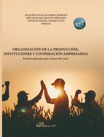 ORGANIZACIÓN DE LA PRODUCCIÓN, INSTITUCIONES Y COOPERACIÓN EMPRESARIAL