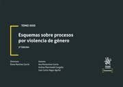 ESQUEMAS SOBRE PROCESOS POR VIOLENCIA DE GÉNERO