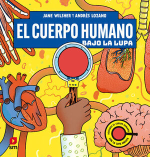 EL CUERPO HUMANO BAJO LA LUPA
