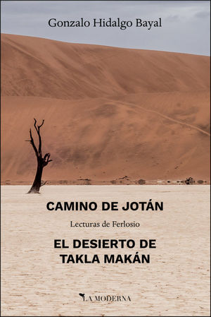 CAMINO DE JOTÁN ;; EL DESIERTO DE TAKLA MAKÁN