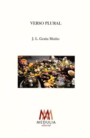 VERSO PLURAL