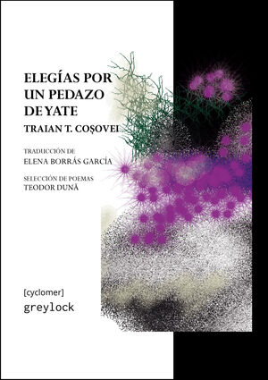 ELEGÍAS POR UN PEDAZO DE YATE