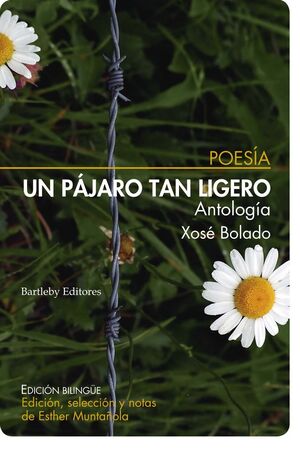 UN PAJARO TAN LIGERO (ANTOLOGIA)