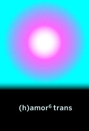 (H)AMOR 6 TRANS