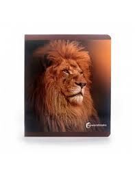 ANIMALES DE LA SABANA GRANDE