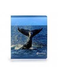 ANIMALES DEL MAR GRANDE