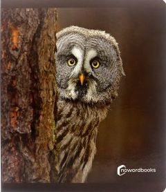 ANIMALES DEL BOSQUE GRANDE