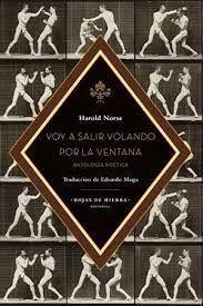 VOY A SALIR VOLANDO POR LA VENTANA