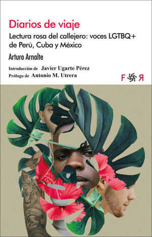 DIARIOS DE VIAJE. LECTURA ROSA DEL CALLEJERO.