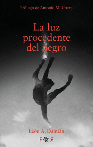 LA LUZ PROCEDENTE DEL NEGRO
