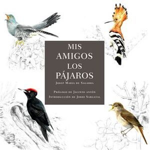 MIS AMIGOS LOS PÁJAROS