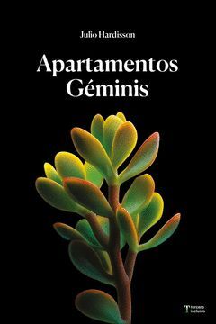 APARTAMENTOS GÉMINIS