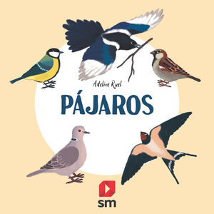 NATURALEZA PÁJAROS